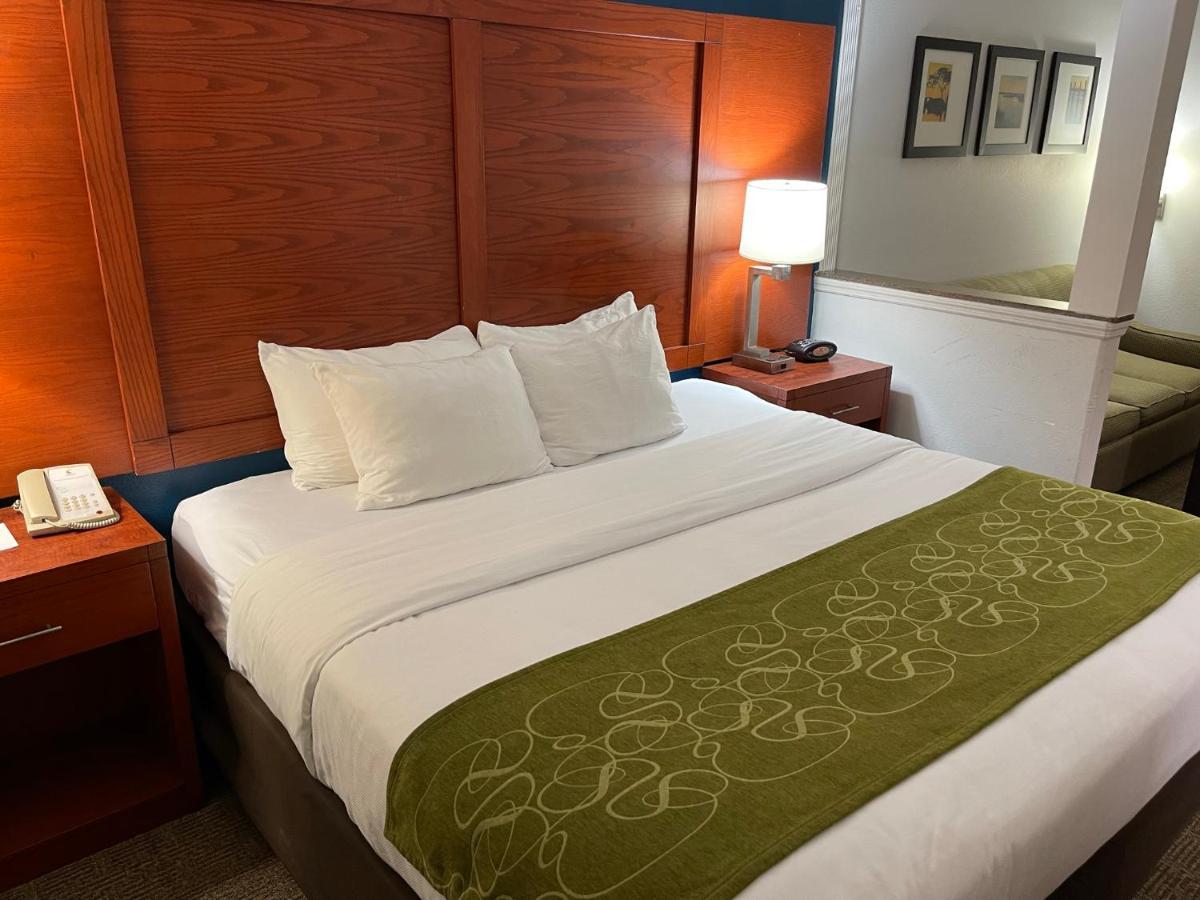 Comfort Suites לייק צ'ארלס מראה חיצוני תמונה